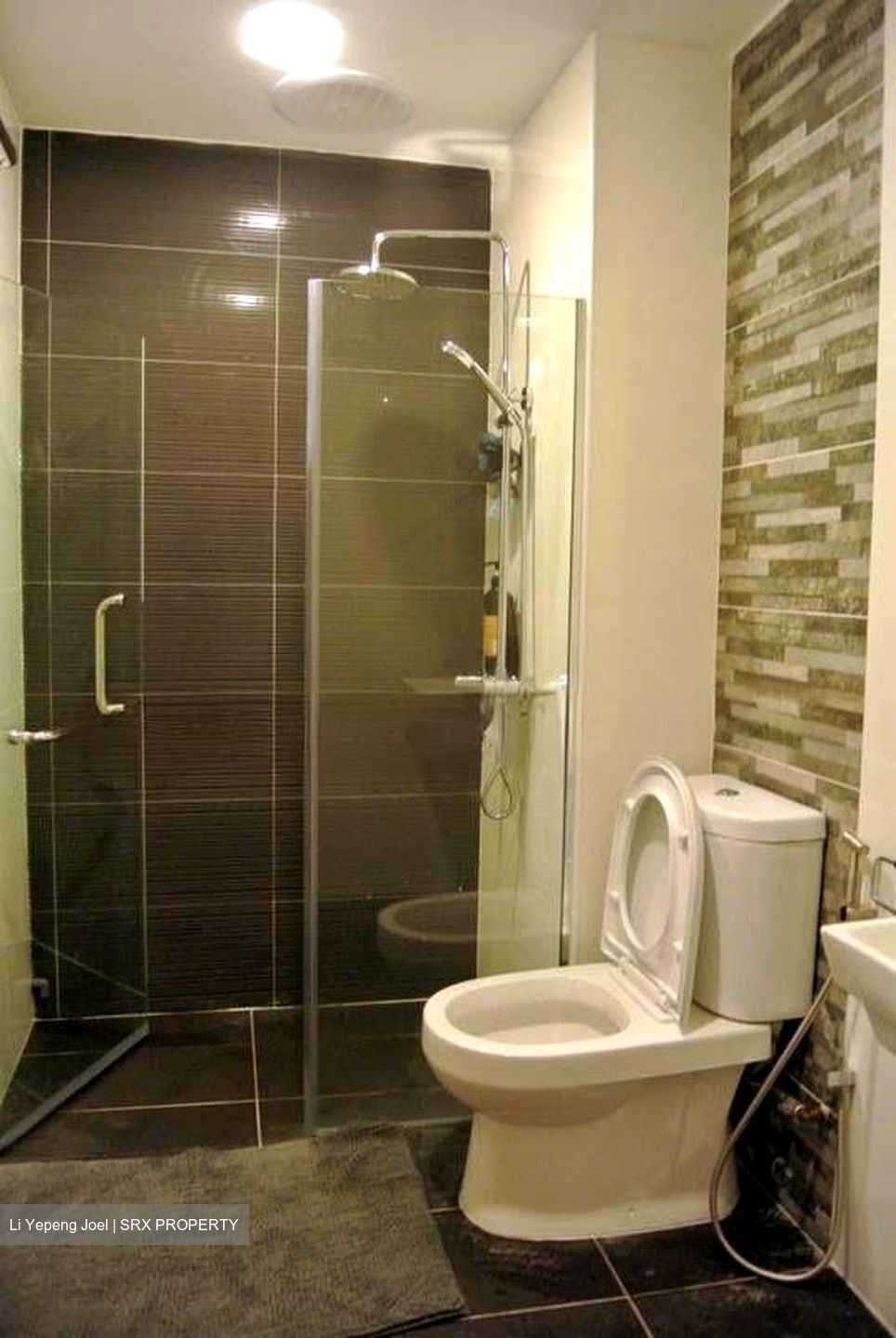 Blossom Mansions (D14), Apartment #499414041